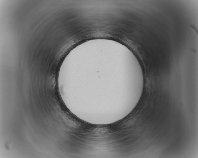 X0000103170063200809121910