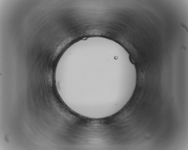 X0000103170064200809121910