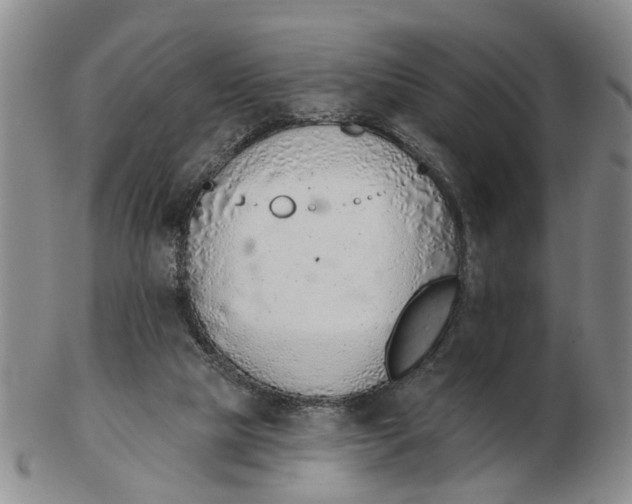 X0000103170065200809121910