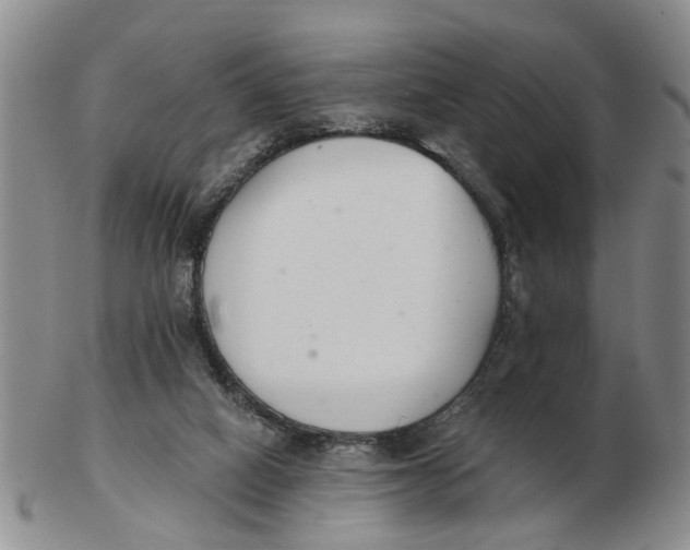 X0000103170066200809121910