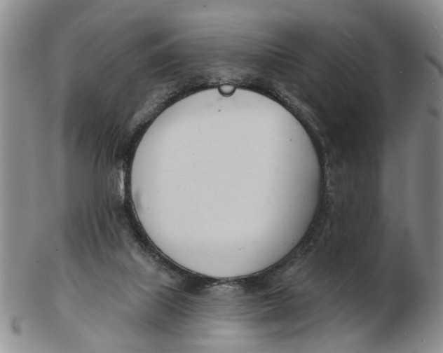 X0000103170067200809121910