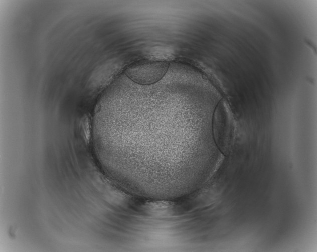 X0000103170069200809121910