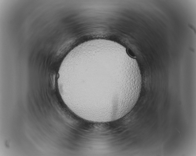 X0000103170070200809121910