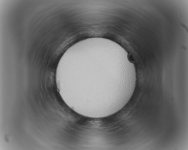 X0000103170071200809121910