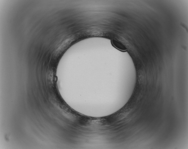 X0000103170072200809121910