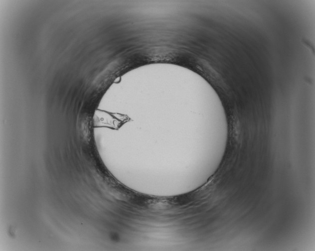 X0000103170074200809121910