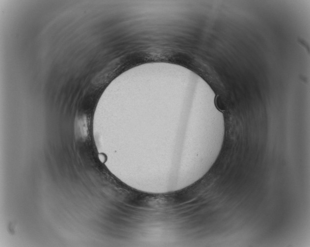 X0000103170075200809121910