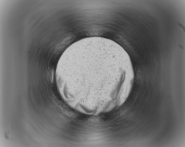 X0000103170076200809121910