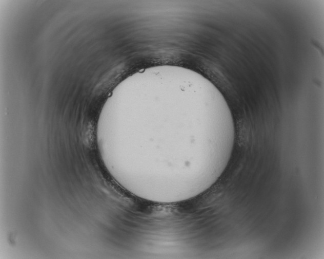 X0000103170077200809121910