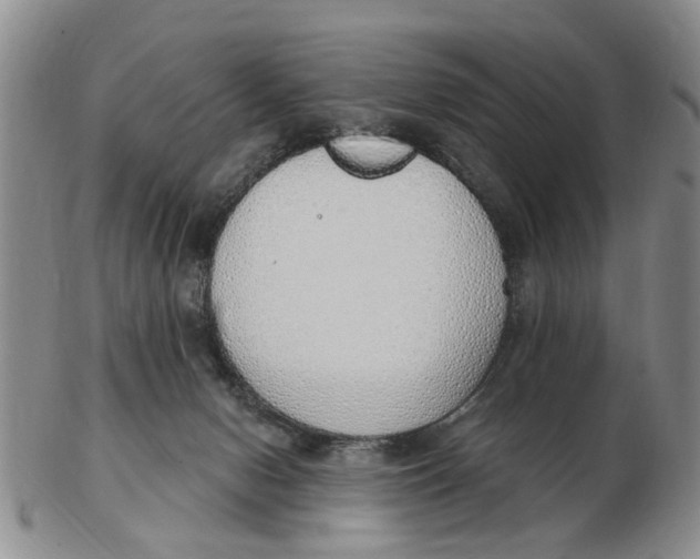 X0000103170078200809121910