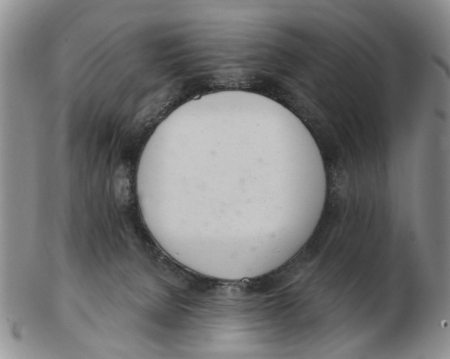 X0000103170080200809121910