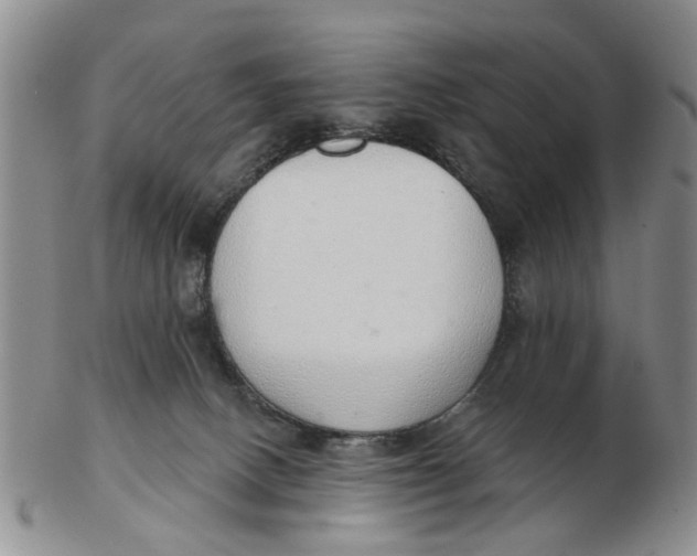 X0000103170082200809121910