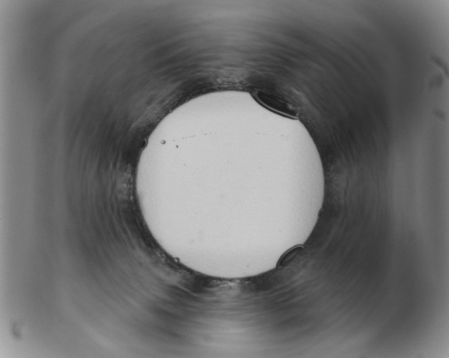 X0000103170083200809121910