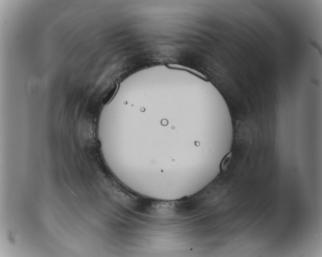 X0000103170084200809121910