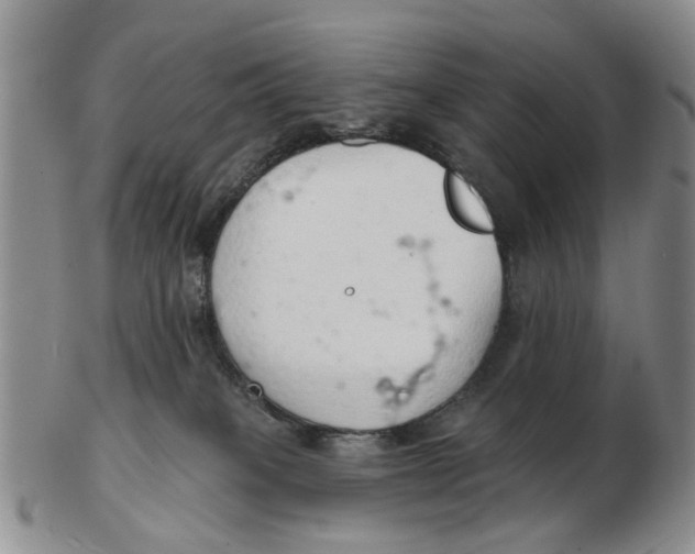 X0000103170085200809121910