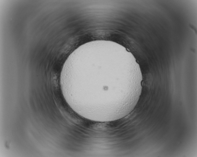 X0000103170086200809121910