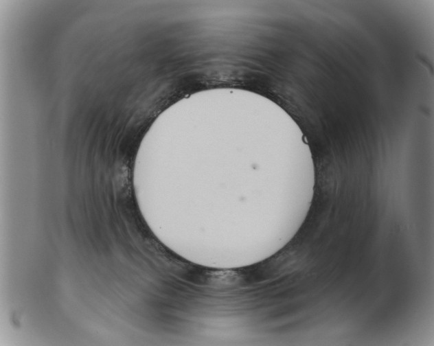 X0000103170087200809121910