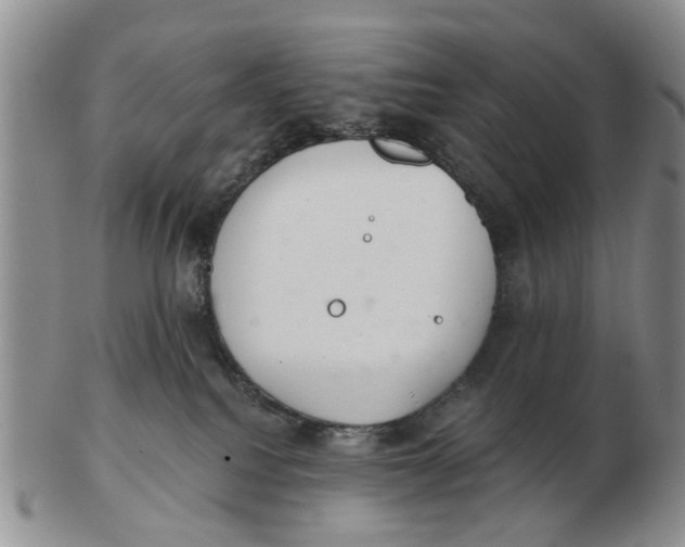 X0000103170088200809121910