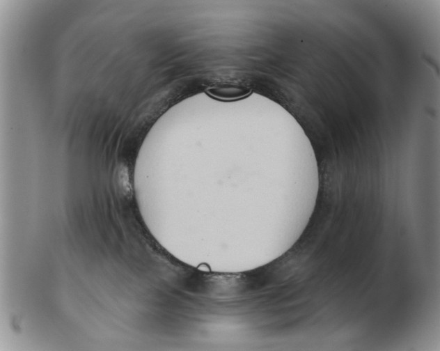 X0000103170089200809121910