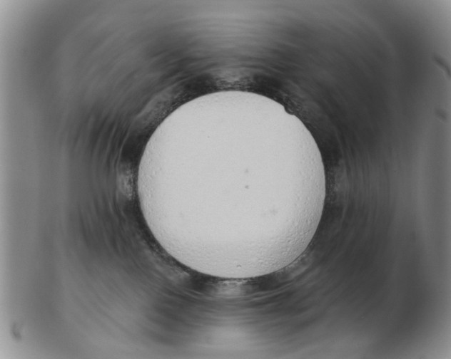 X0000103170090200809121910