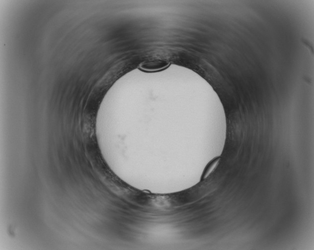 X0000103170091200809121910