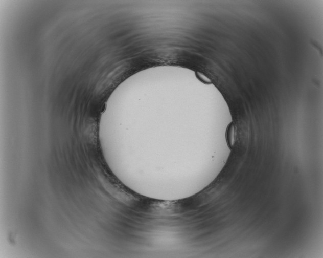 X0000103170092200809121910