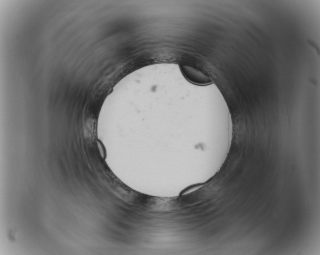 X0000103170093200809121910