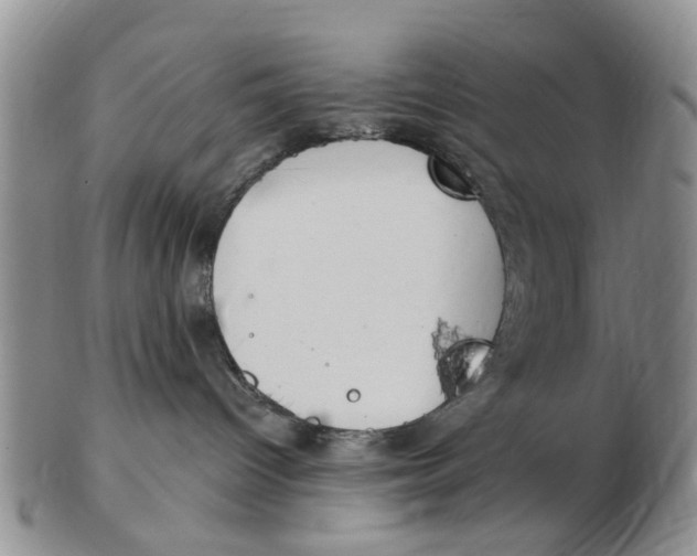 X0000103170096200809121910