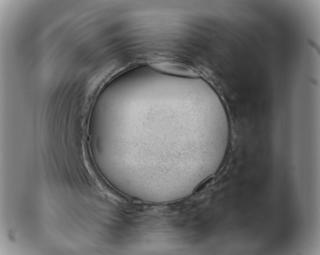 X0000103170097200809121909