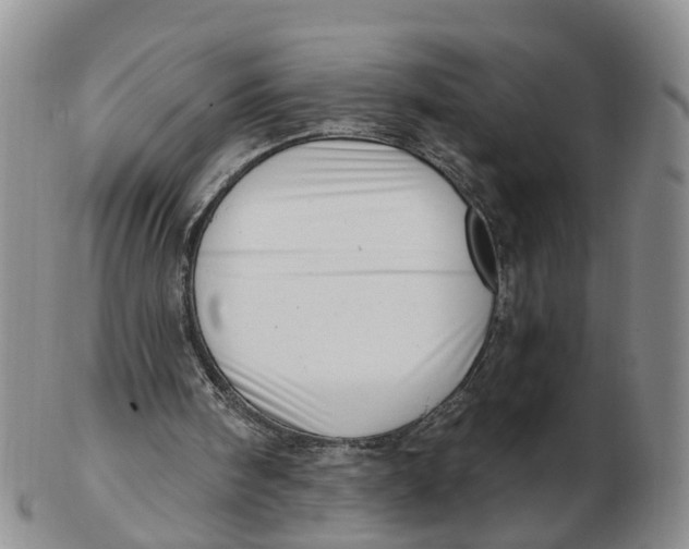 X0000103170098200809121909