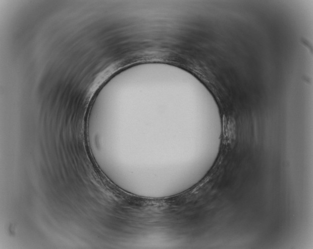 X0000103170099200809121909