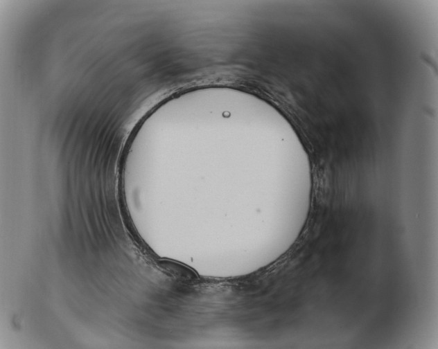 X0000103170100200809121909