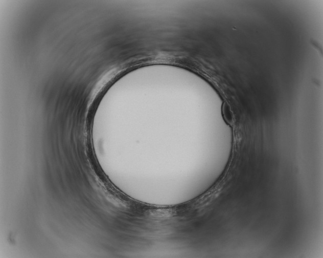 X0000103170102200809121909