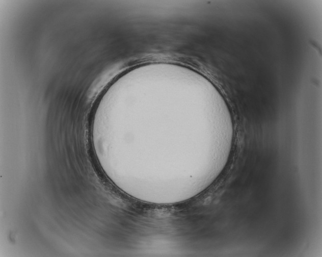 X0000103170103200809121909