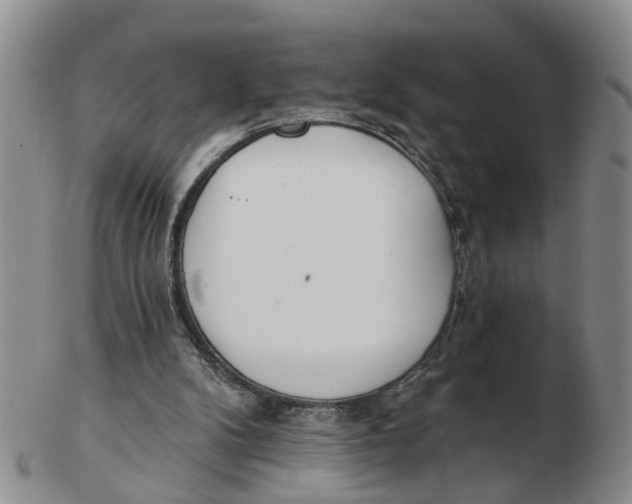 X0000103170104200809121909