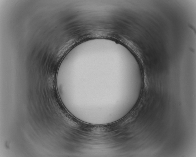 X0000103170105200809121909