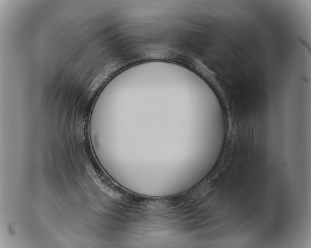 X0000103170106200809121909