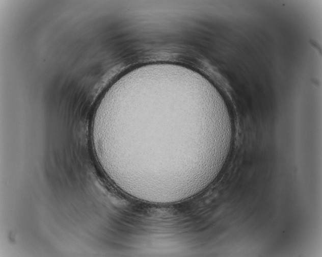 X0000103170107200809121909