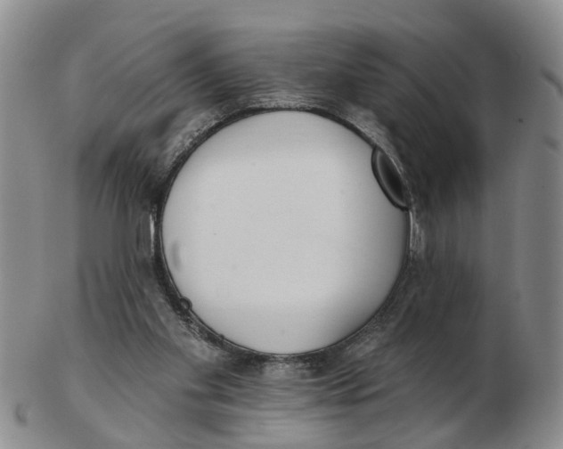 X0000103170109200809121909