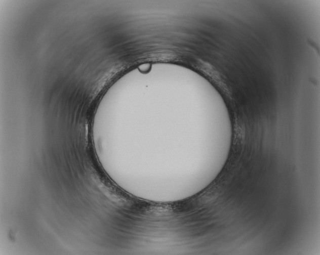 X0000103170110200809121909