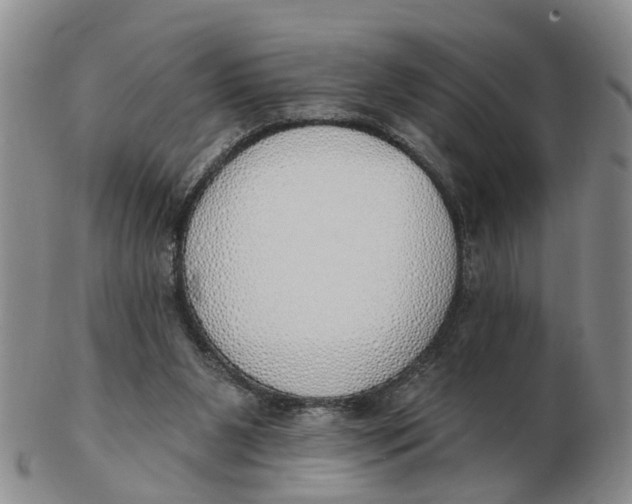 X0000103170111200809121909