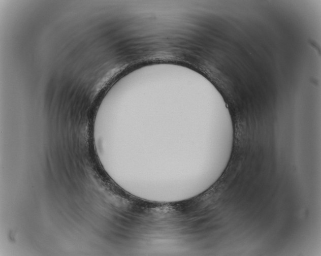 X0000103170112200809121909