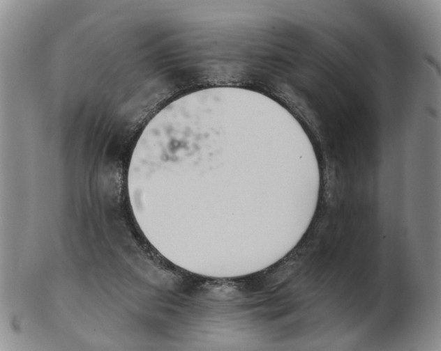 X0000103170113200809121909