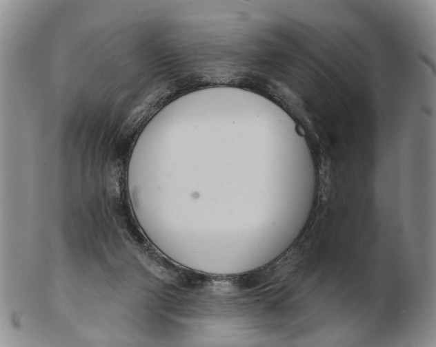 X0000103170114200809121909