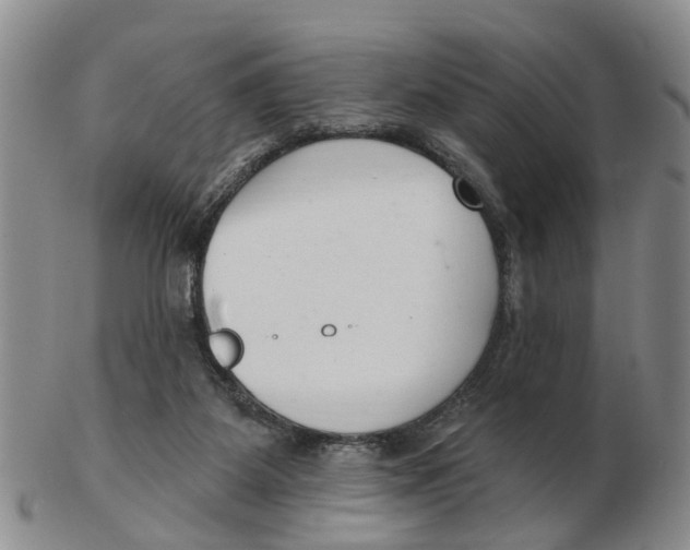 X0000103170115200809121909