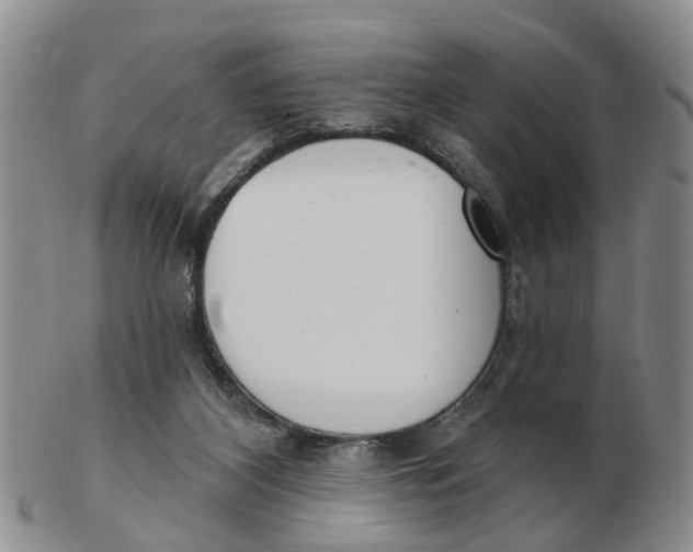 X0000103170116200809121909