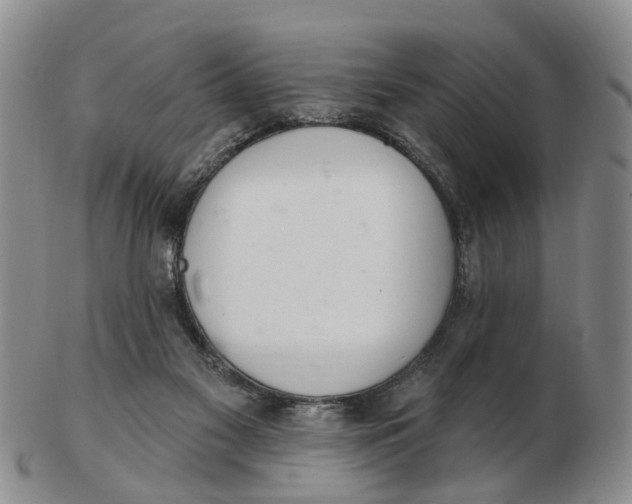 X0000103170117200809121909