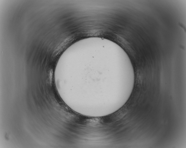 X0000103170118200809121909