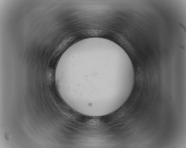 X0000103170119200809121909