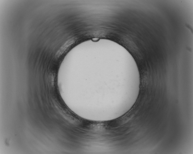 X0000103170120200809121909